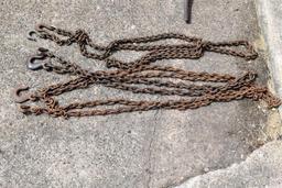 (3) Light duty Chains with Hooks