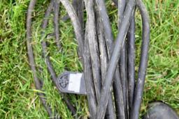 220V Cord