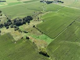 Lot/Parcel 1 - 79+/- Deeded Acres Of Bare Crop Land, N1/2 Of NW1/4 Sec 6, Kalmar Twp, Olmsted Co. MN