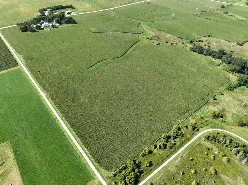 Lot/Parcel 1 - 79+/- Deeded Acres Of Bare Crop Land, N1/2 Of NW1/4 Sec 6, Kalmar Twp, Olmsted Co. MN
