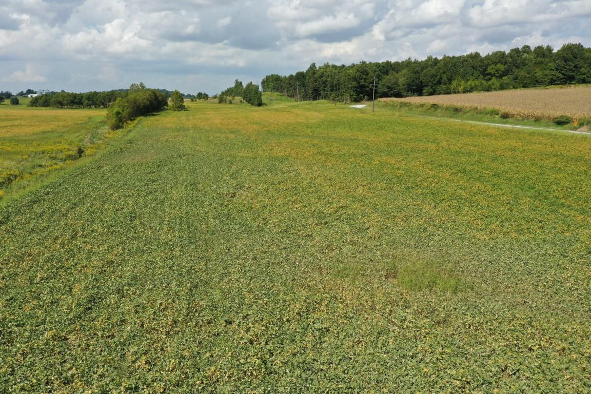 97 ACRES ON MCELVAIN RD IN HANSON KY