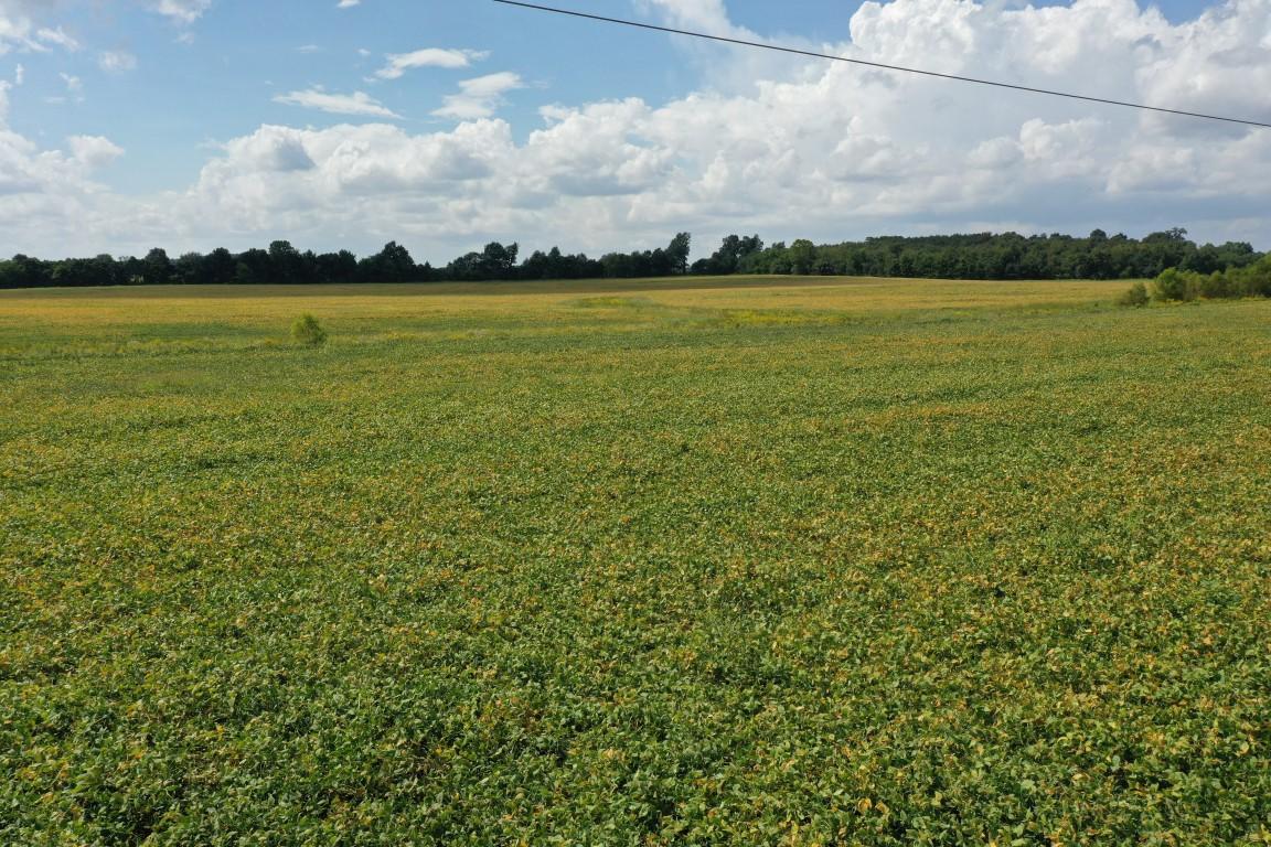 97 ACRES ON MCELVAIN RD IN HANSON KY