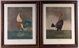 W.C. LEE WAR AND PEACE ROOSTER ENGRAVINGS