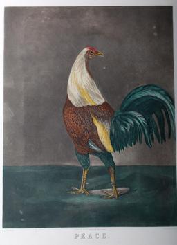 W.C. LEE WAR AND PEACE ROOSTER ENGRAVINGS