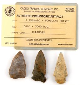 ARTIFACT LOT ROMAN COIN METEORITE & NATIVE POINTS