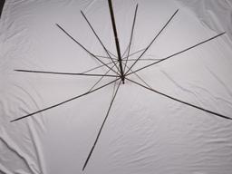 ANTIQUE VICTORIAN WHALE BONE & BALLEEN UMBRELLA