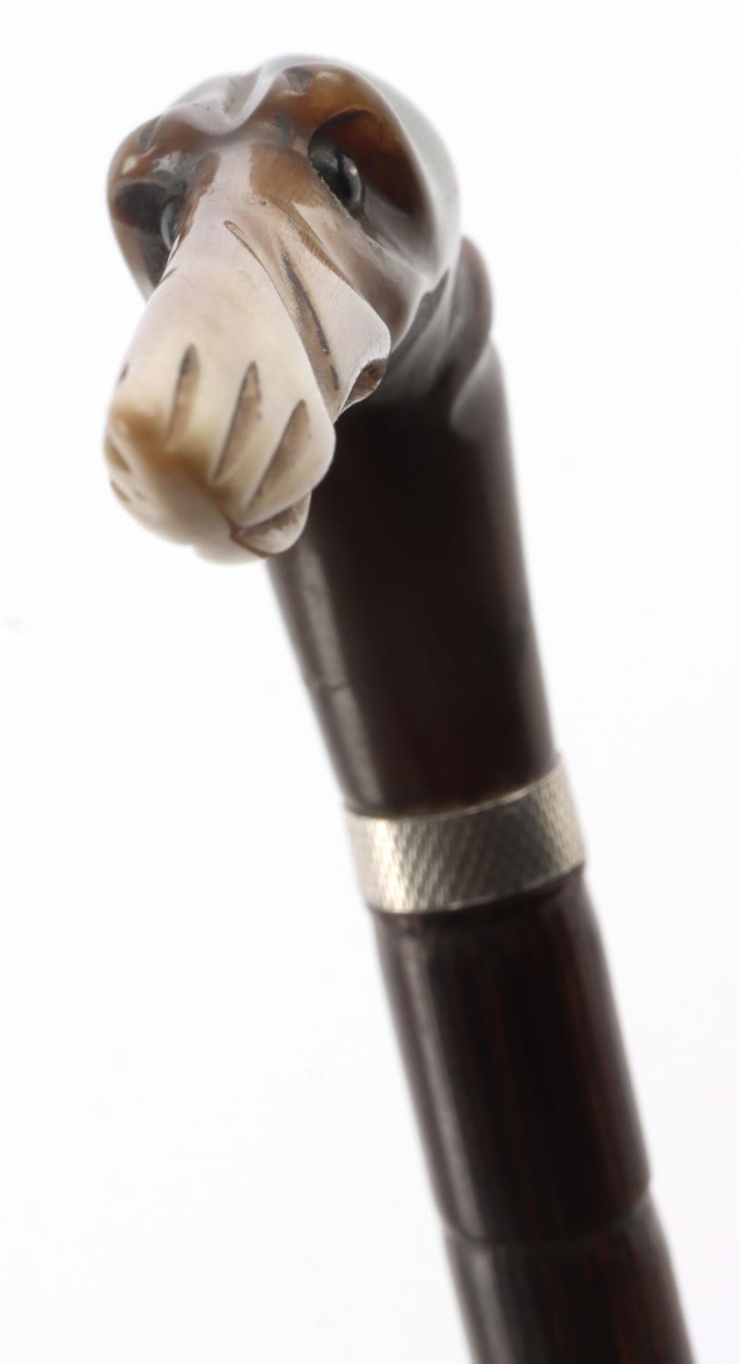 HORN HOUND DOG HEAD WALKING STICK CANE