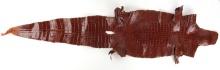 69 INCH LOUISIANA  ALLIGATOR SKIN LEATHER HIDE