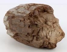 PETRIFIED MASTODON OR MAMMOTH TUSK SECTION