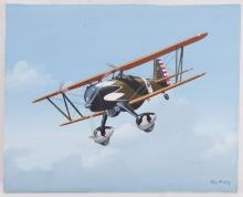 PAINTING OF A CURTISS P-6E HAWK RAY WADDEY
