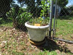 2 PLASTIC PLANTERS