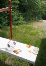 PECAN PICKUP TOOL
