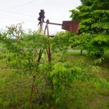 6.5 FT. WIND MILL