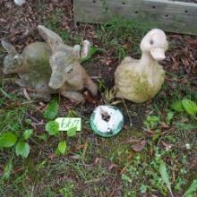 STATUES- DEER, RABBIT, DUCK