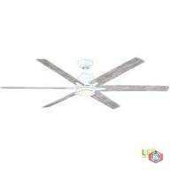 Ceiling fan