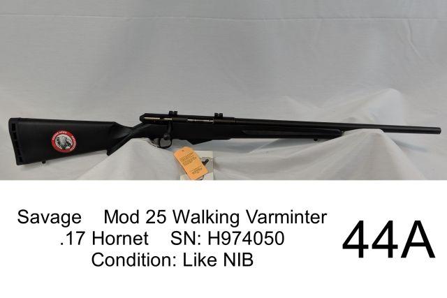 Savage    Mod 25 Walking Varminter    .17 Hornet    SN: H974050     Conditi
