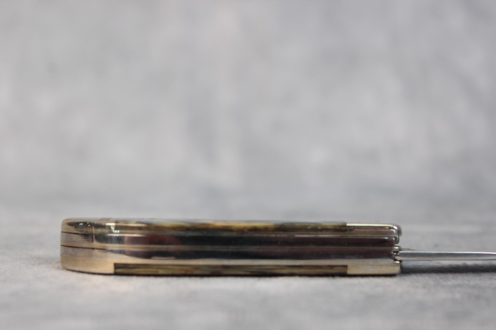 2020 Case XX Abalone Pocket Hunter