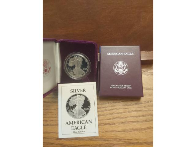 1989 SILVER EAGLE IN HOLDER PF