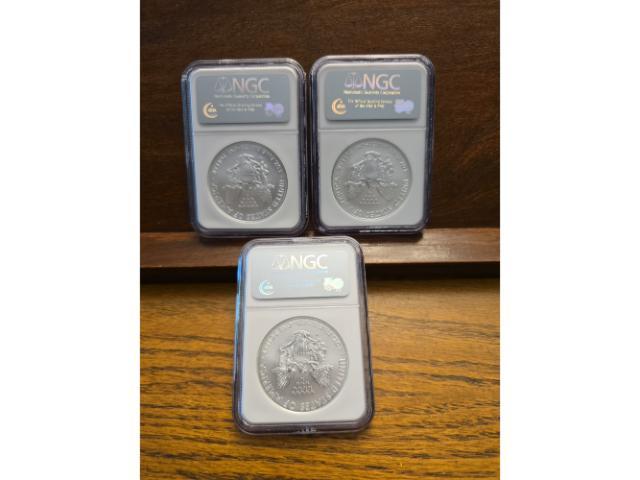 2006W,07W,08W SILVER EAGLES NGC MS69
