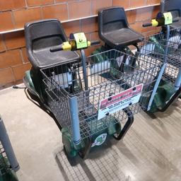 Mart Cart ADA shopper's cart