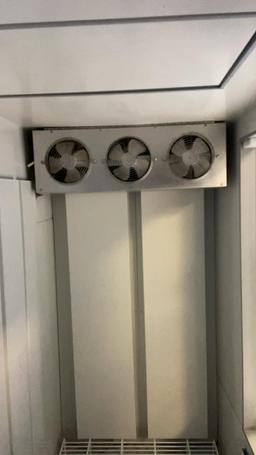 Polar Temp Ice Merchandiser