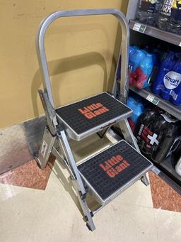 Little Giant Step Ladder