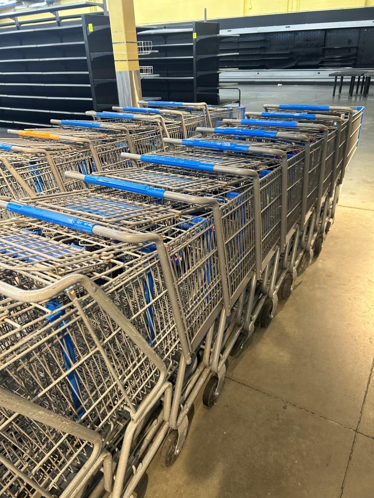 Full-Size Shopping Carts