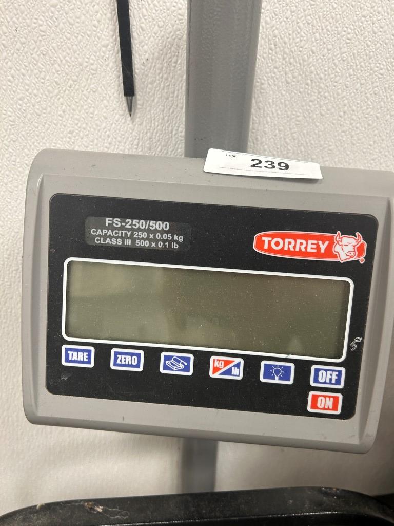 TorRey FS-250/500 Scale
