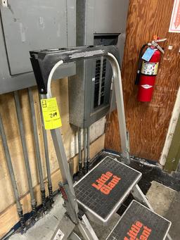 LITTLE GIANT STEP LADDER