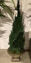 Planter with Tree