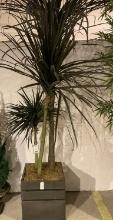 Planter with Tree