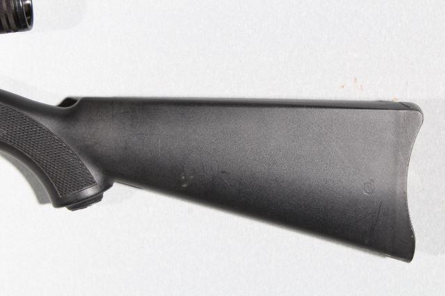 RUGER 10/22, SN 250-72456,