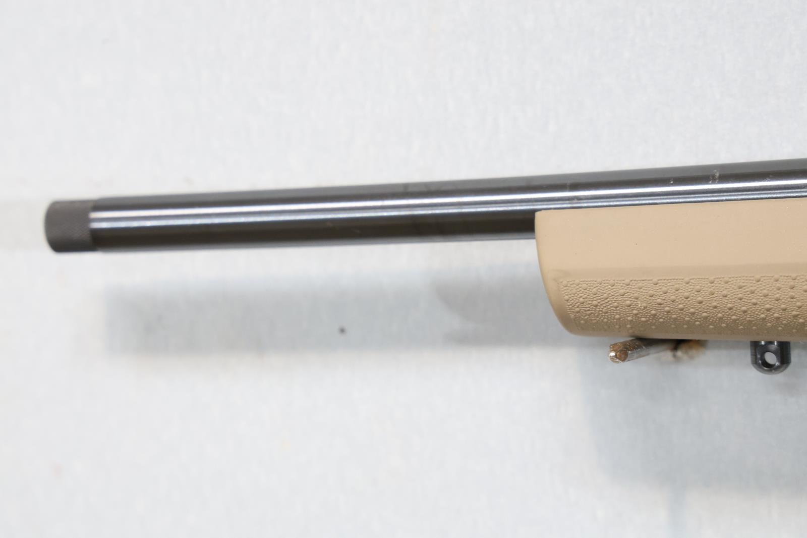 RUGER 10/22, SN 0019-31836,
