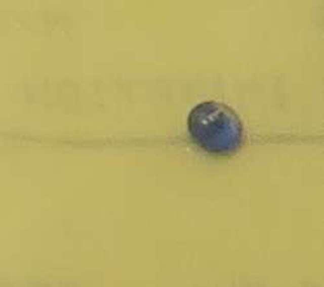 imitation  Blue Round sapphire Faceted 2.75mm