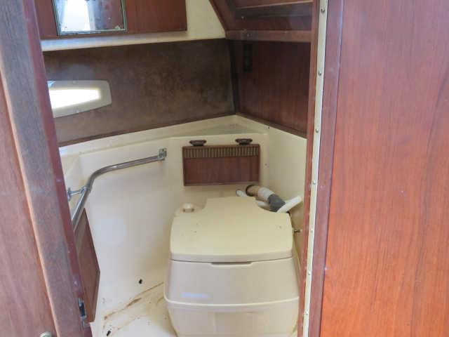 1981 25' SeaRay cabin cruiser with Mercruiser Bravo I/O and trailer