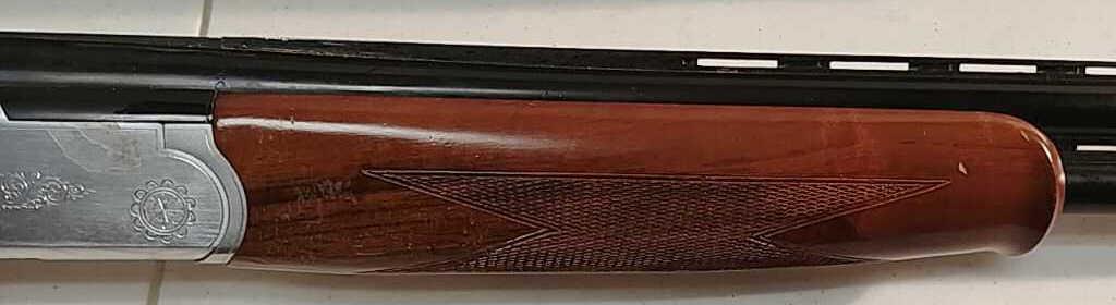 CZ Mallard 12 GA 28"