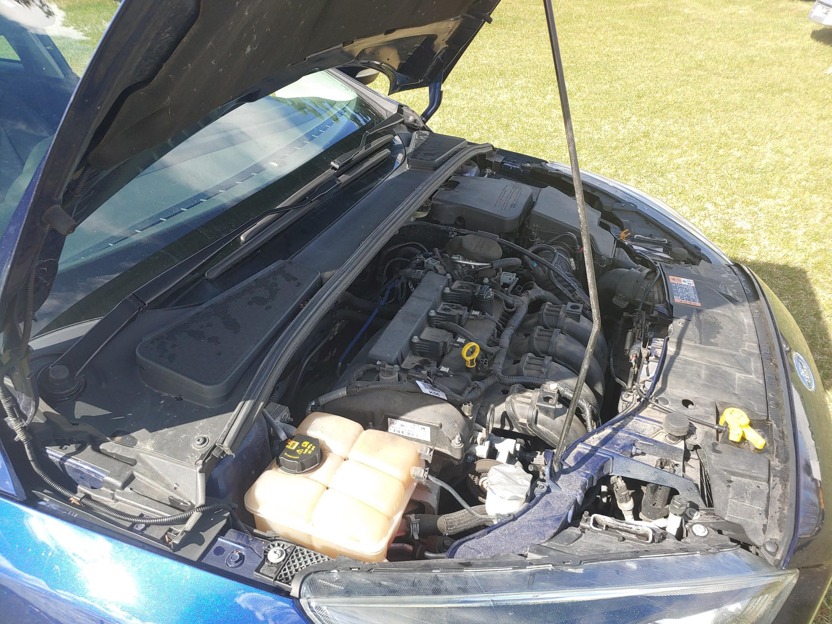 2016 FORD Focus