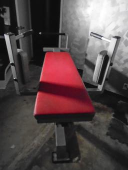 Atlantis Precision Series Adjustable Leg Raise exercise machine.