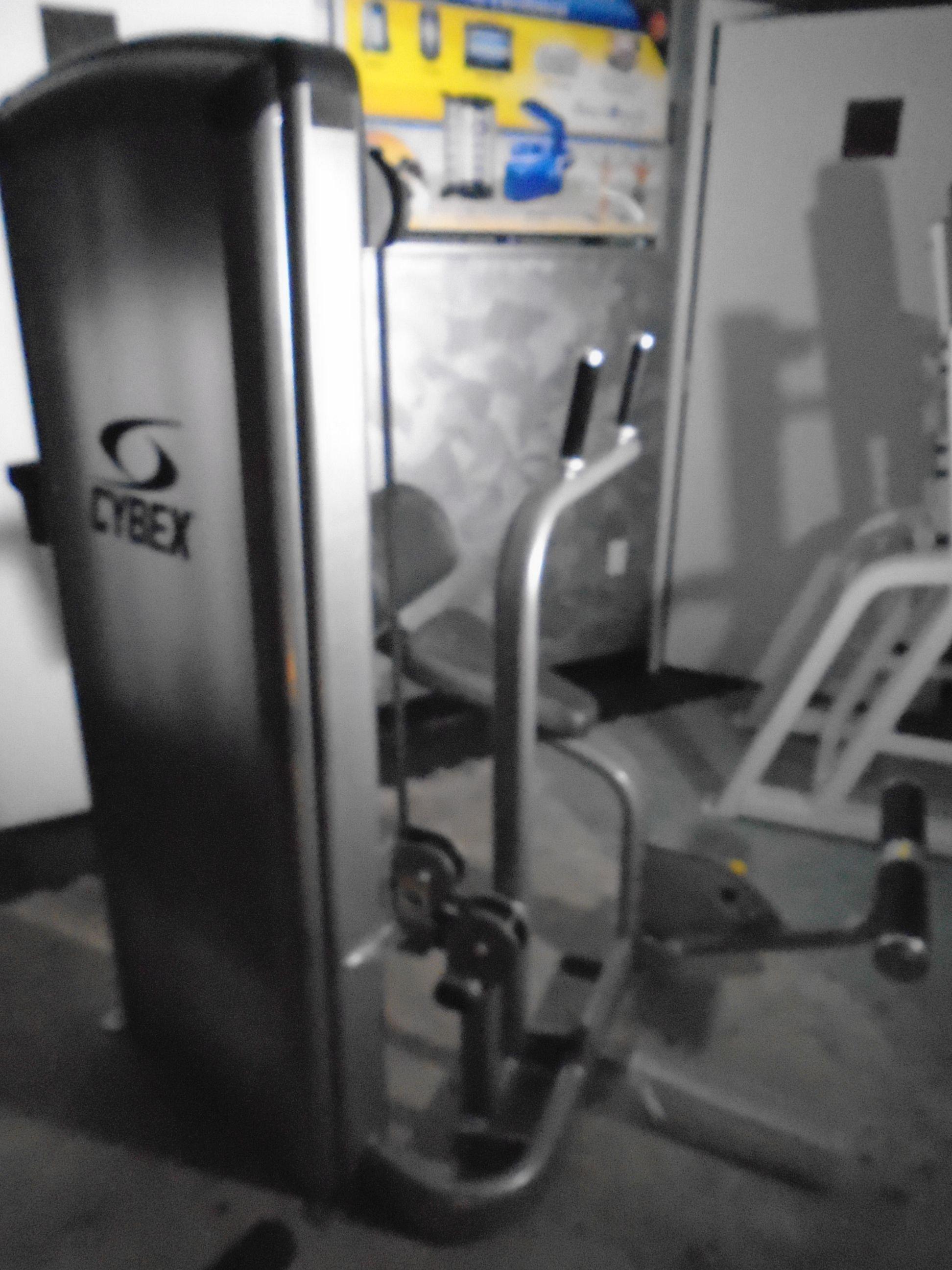 Cybex VR3 Abdominal machine