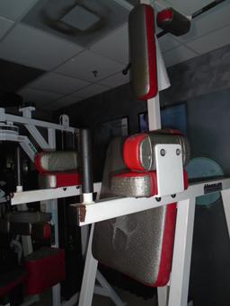 Magnum Fitness Systems Dip / Leg Raise / Chin up exercise machine.