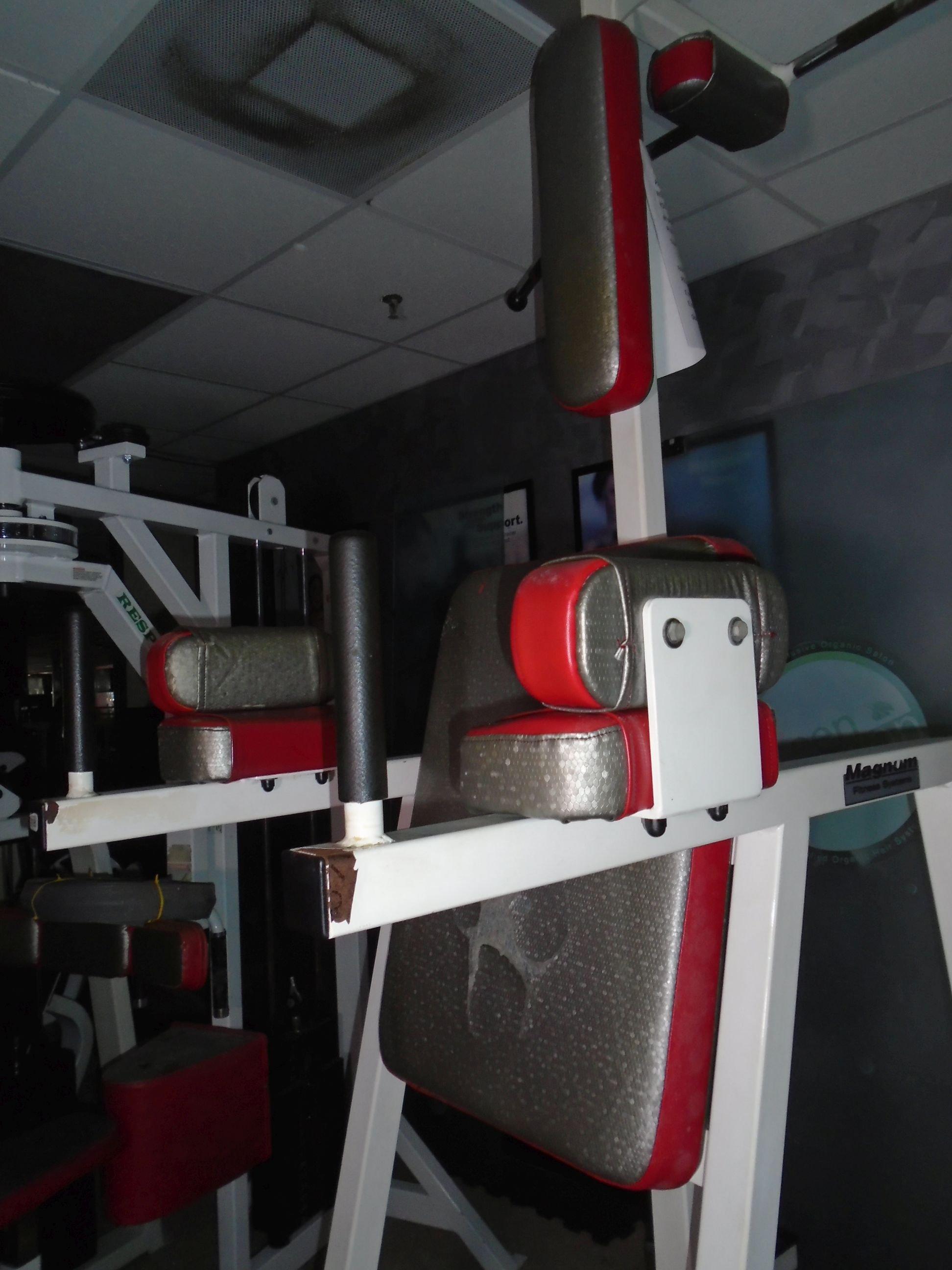 Magnum Fitness Systems Dip / Leg Raise / Chin up exercise machine.