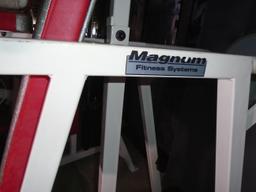 Magnum Fitness Systems Dip / Leg Raise / Chin up exercise machine.