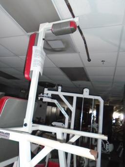 Magnum Fitness Systems Dip / Leg Raise / Chin up exercise machine.