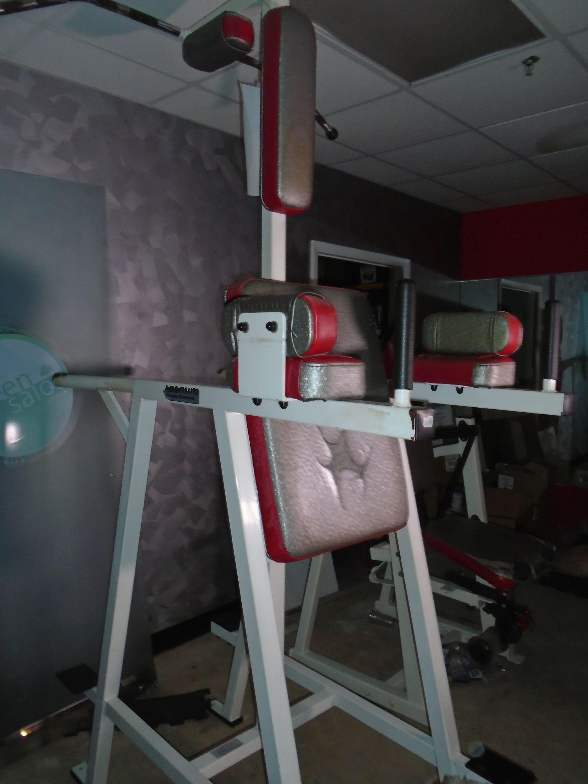 Magnum Fitness Systems Dip / Leg Raise / Chin up exercise machine.