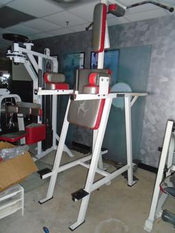Magnum Fitness Systems Dip / Leg Raise / Chin up exercise machine.