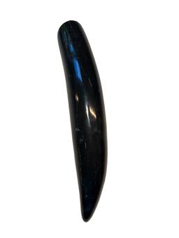 Polished Fossilized Whale Tooth