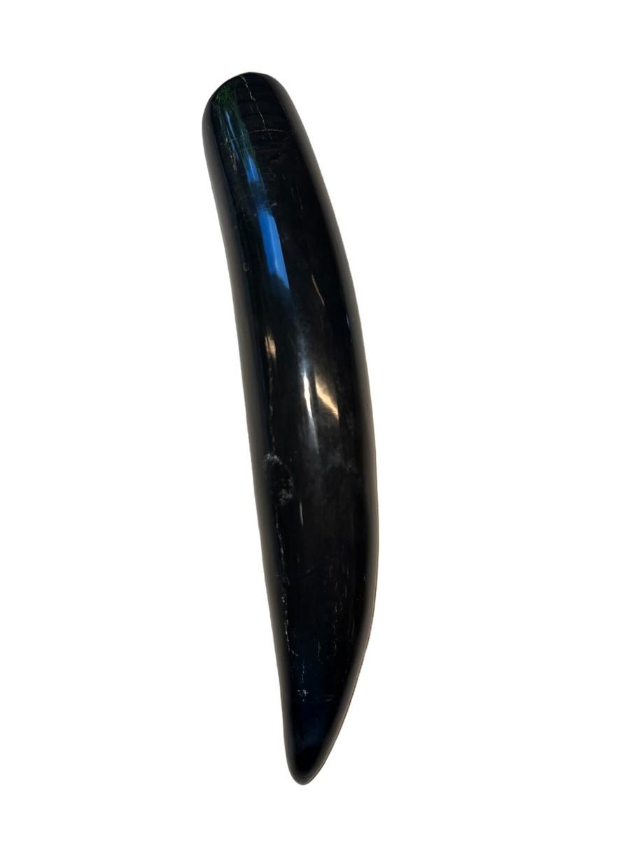 Polished Fossilized Whale Tooth