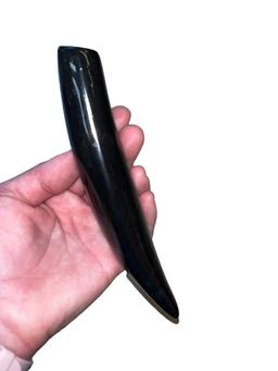 Polished Fossilized Whale Tooth