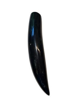 Polished Fossilized Whale Tooth
