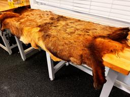 6' by 4' REAL Deer Skin Rug / LIKE NEW Deer Skin Rug